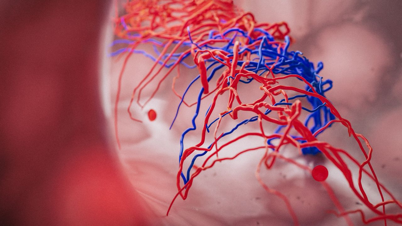WIRED